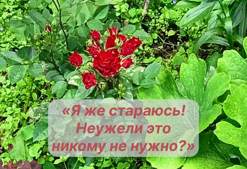 Как вам зашел вчерашний эксперимент?