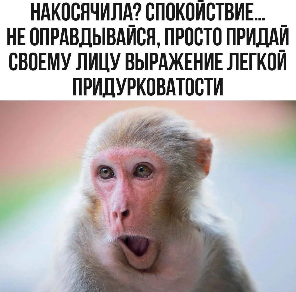КУКУРУЗА 🌽