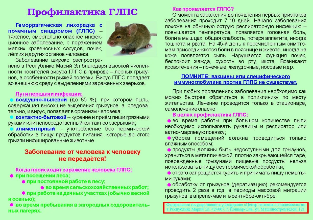 В связи с благоприятными для мелких грызунов природными условиями, в летне-осеннем периоде прогнозир