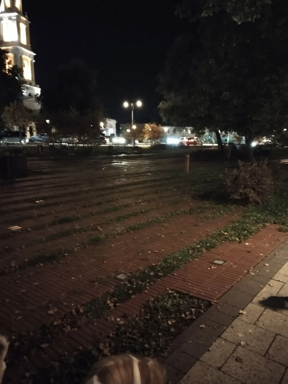 Добрый вечер. Предлагаю обратить внимание на сквер у кремлевской, стены рядом с  автост...