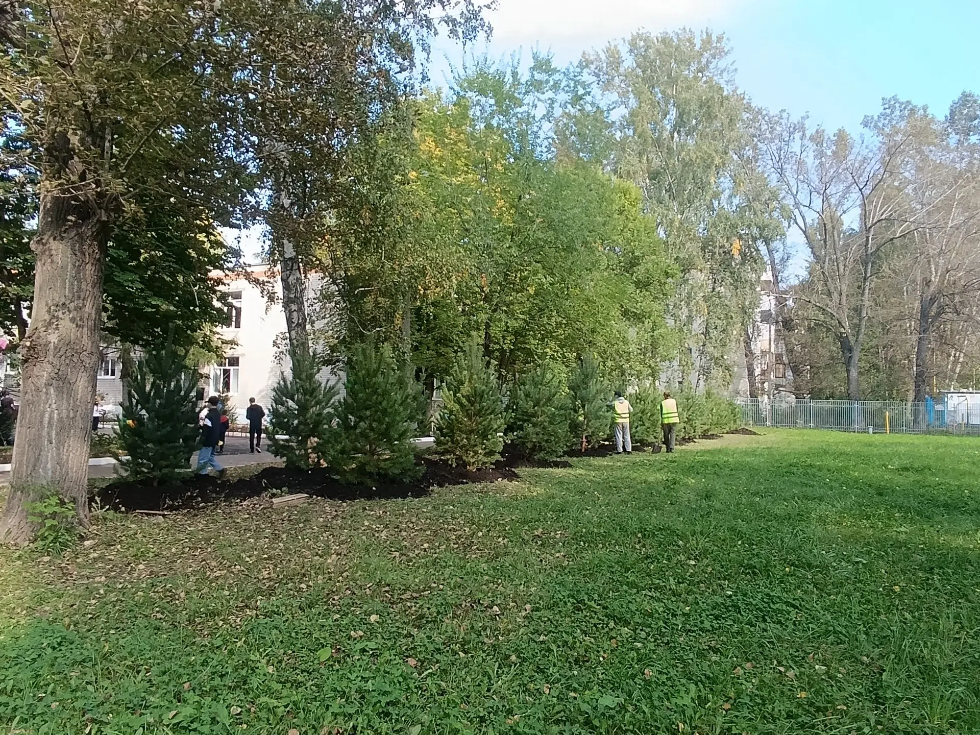 **«Зелёная эстафета»: в Центре внешкольной работы Приволжского района высадили аллею из...