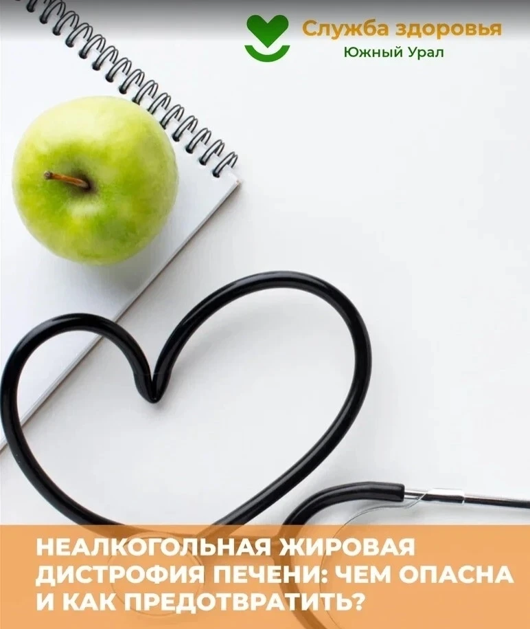 Долгодеревенское | Челябинск🏡

Неалкогольная жировая дистрофия печени: чем опасна и как предотврати