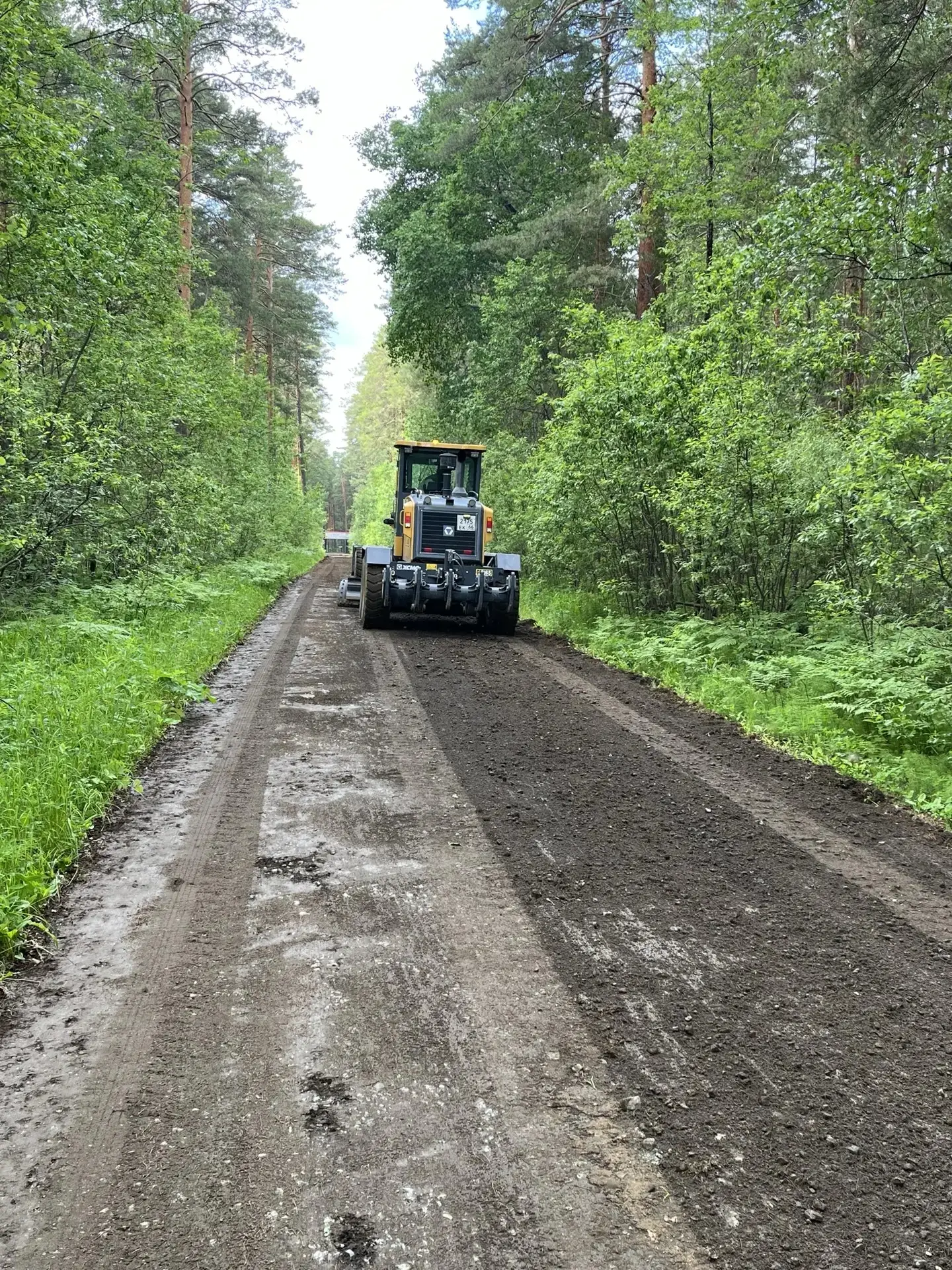 В рамках подготовки к летней оздоровительный кампании  выполнены работы по грейдированию дороги до М