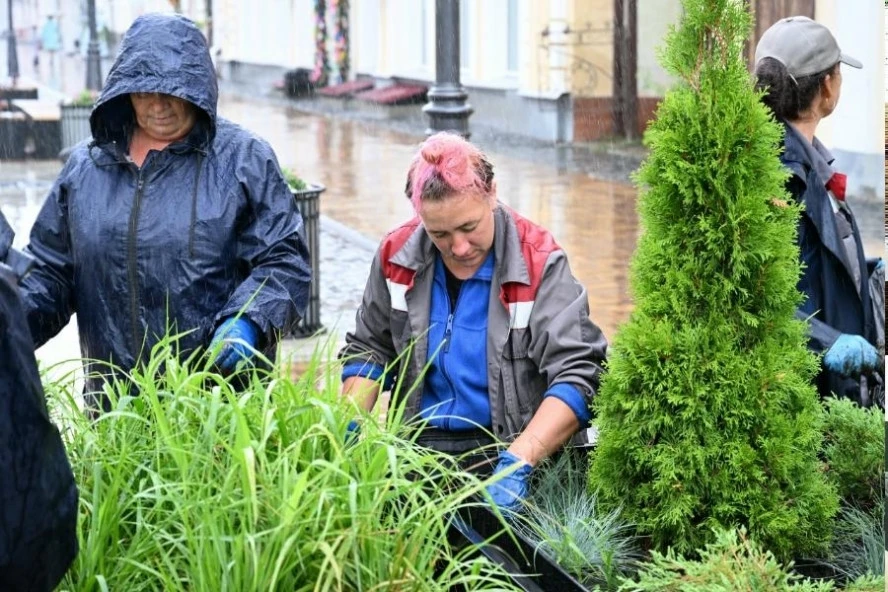 В Тамбове приводят в порядок городские цветники

Из-за тёплой погоды и обильных дождей сорная растит