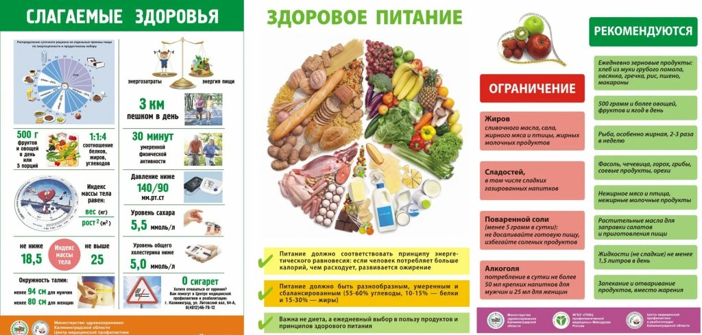 1.  Для обеспечения организма клетчаткой и необходимыми витаминами половина ежедневного меню должна 