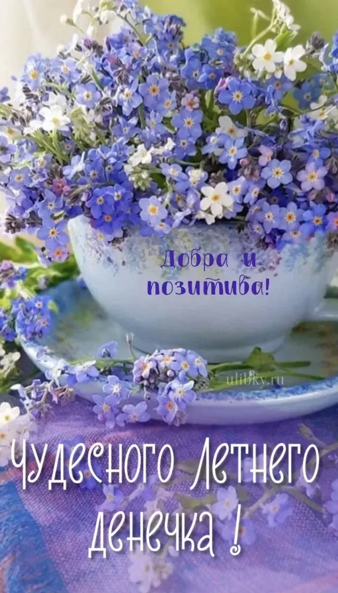 Ставь 👍, если нравится открытка и делись с близкими!