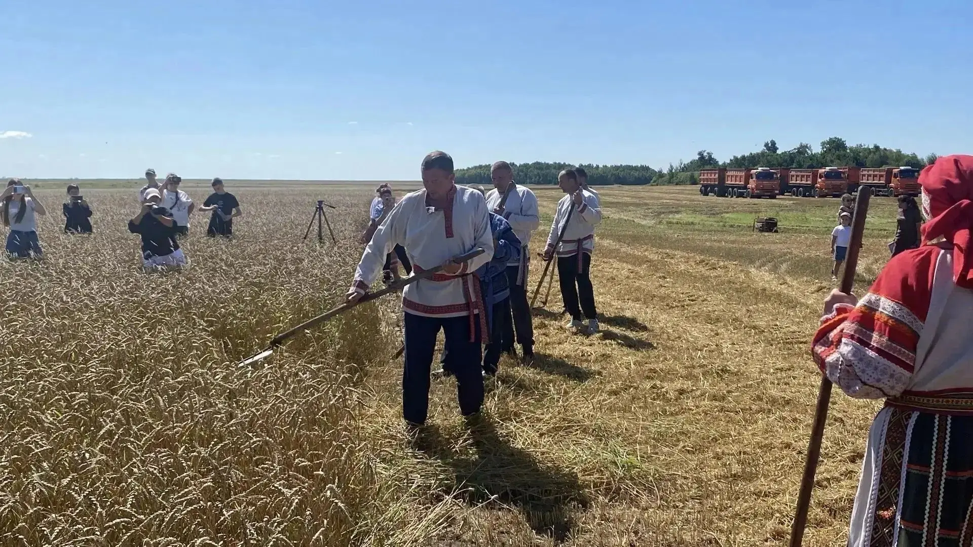 🌾 В Новоалексеевке прошли «Зажинки» — праздник первого снопа!