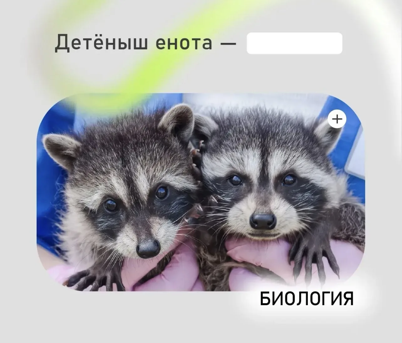 Проверим, как хорошо вы знаете биологию. В карточке спрятали слово. Попробуйте угадать.
