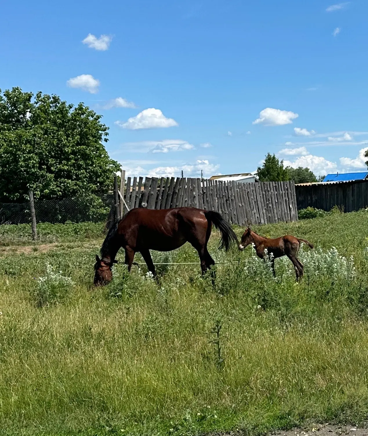 🏡На просторах деревни проще всего найти счастье в мелочах🦋🍓🌸