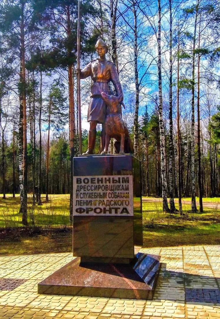🌿 Точка Природа