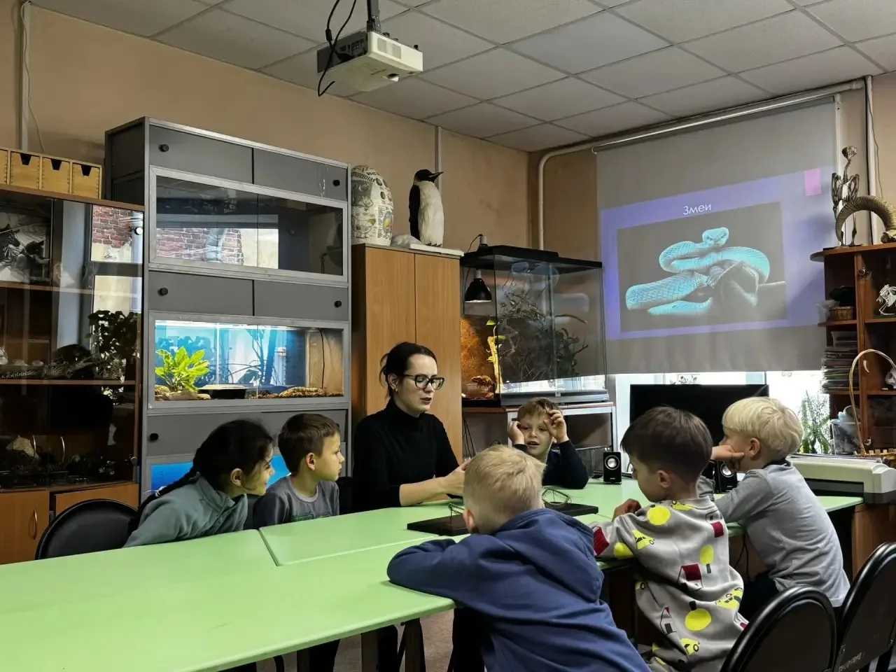 🐍 Секреты рептилий: «Семицветики» в гостях у змей! 🌿