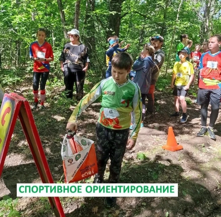 Спортивное ориентирование – это увлекательный вид спорта?