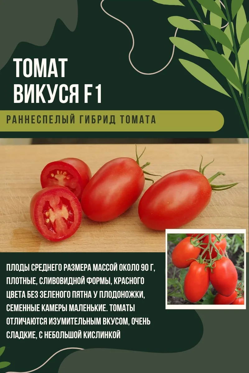 🍅 ТОМАТЫ ДЛЯ КОНСЕРВАЦИИ: ПЛОТНЫЕ И УРОЖАЙНЫЕ СОРТА Если вы делаете заготовки, то точно знаете — не 