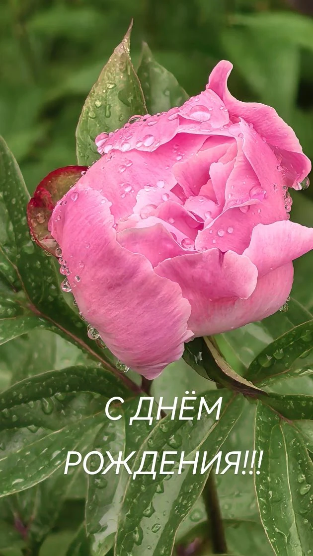 Сегодня отмечает день рождения Наша замечательная коллега!!!Уважаемая Татьяна Сергеевна!
