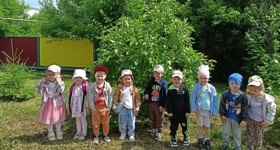 Лето – прекрасная пора для знакомства с окружающим миром.  Много открытий могут принести простые наб