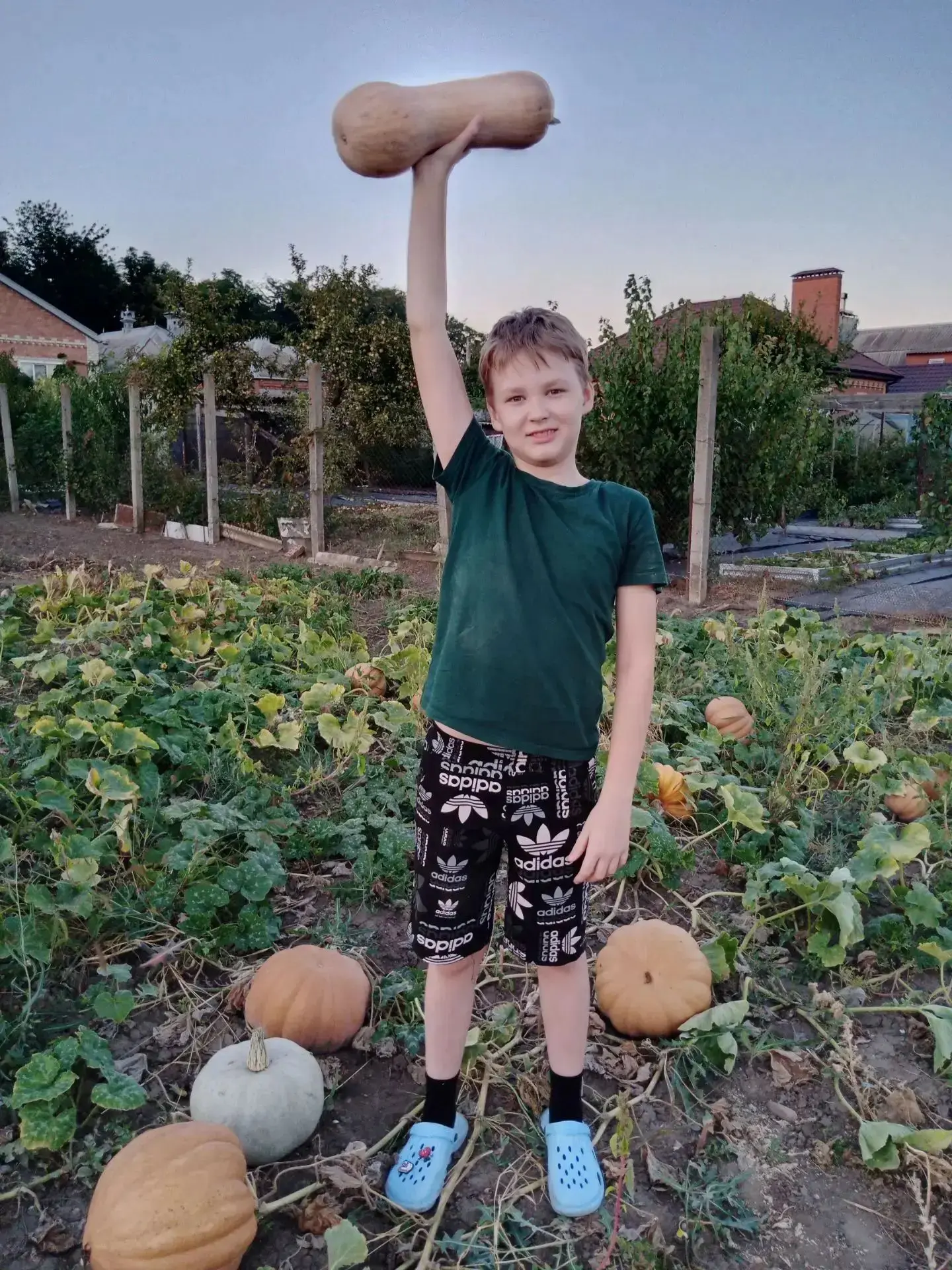 🏆 Ковшарь Захар, 4 «Б» класс — участник фотоконкурса «Мой гигантский урожай»! 🍅📸
