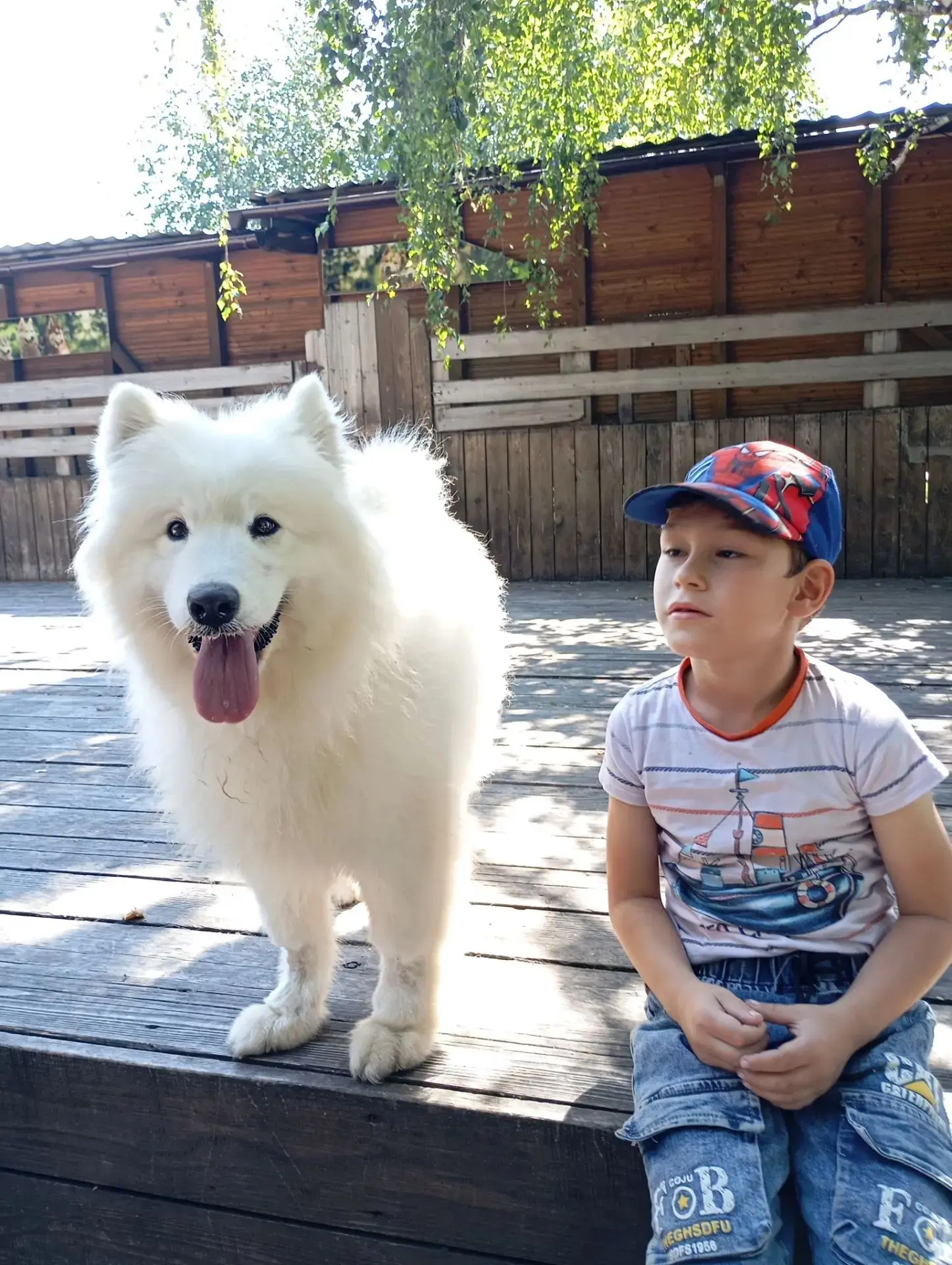 Лови момент 📸