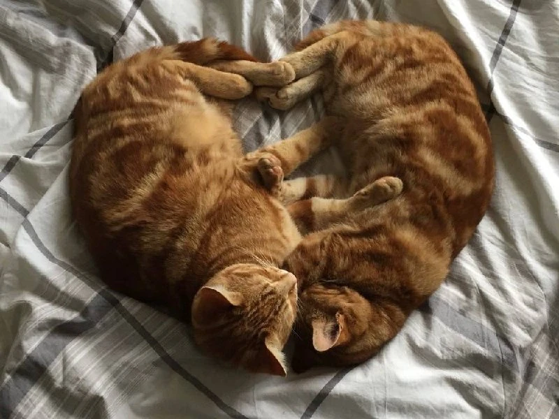 ☀️ Доброе утро, Москва!