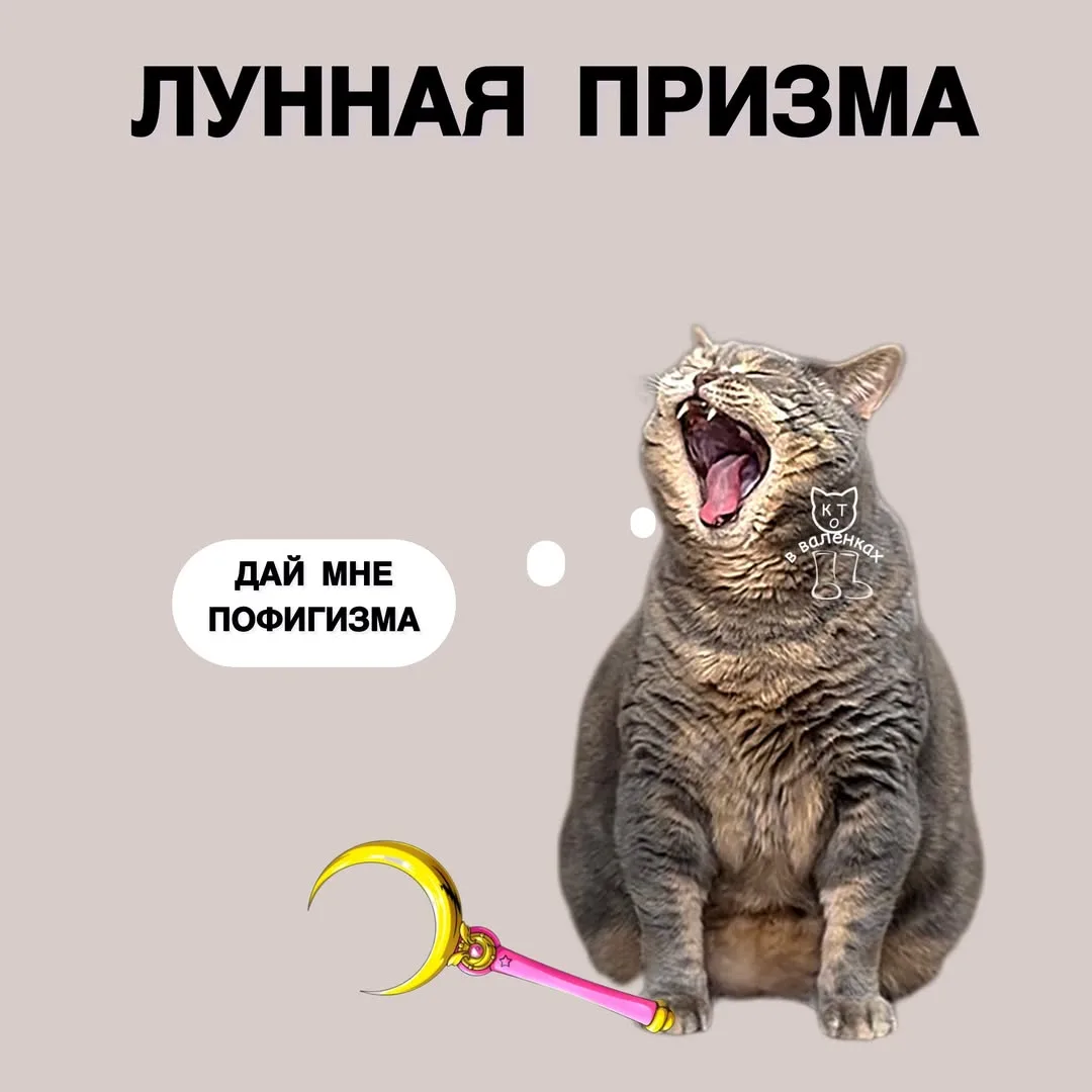 😍ОтКрытка ОтДуши❣️

😜