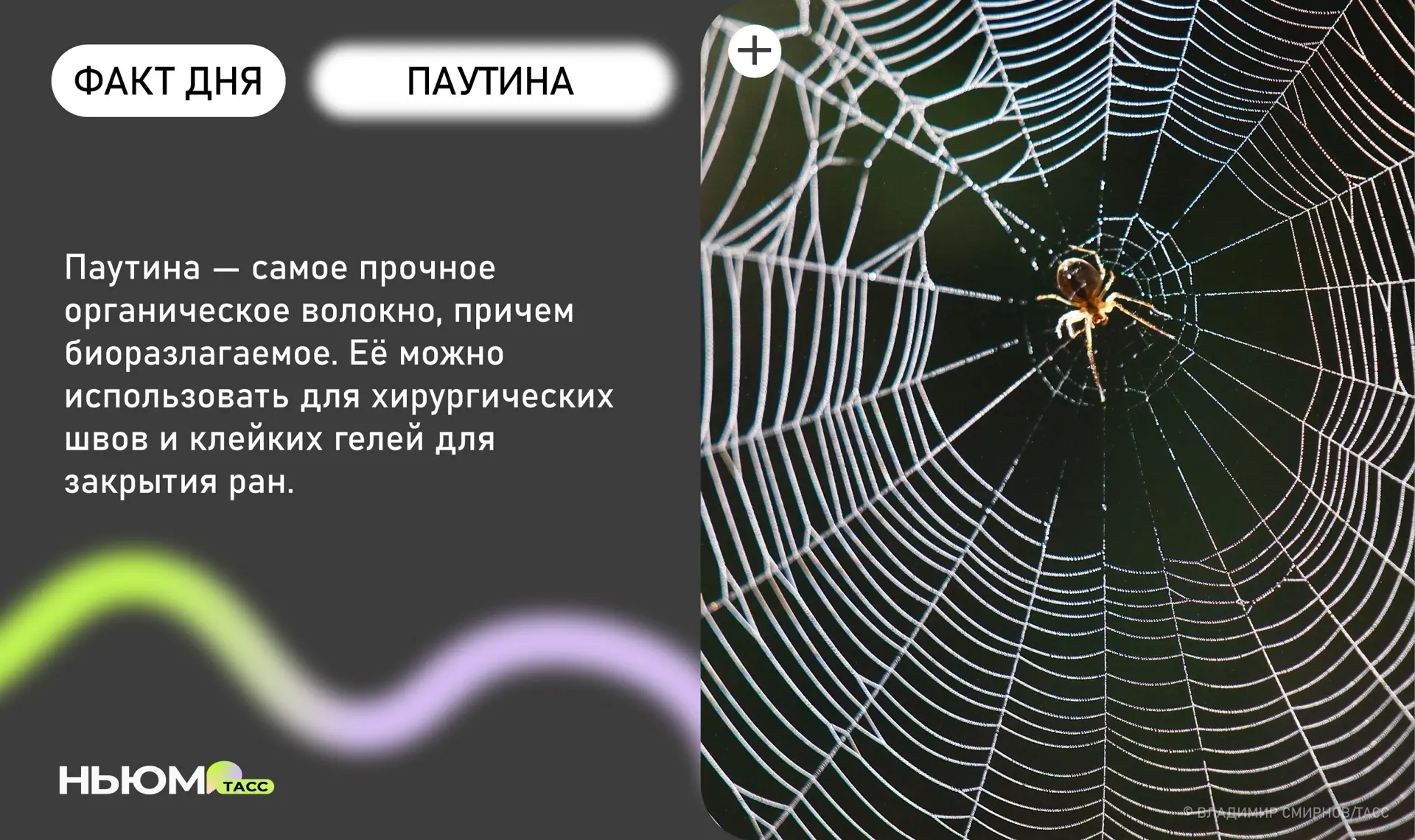 Знали?