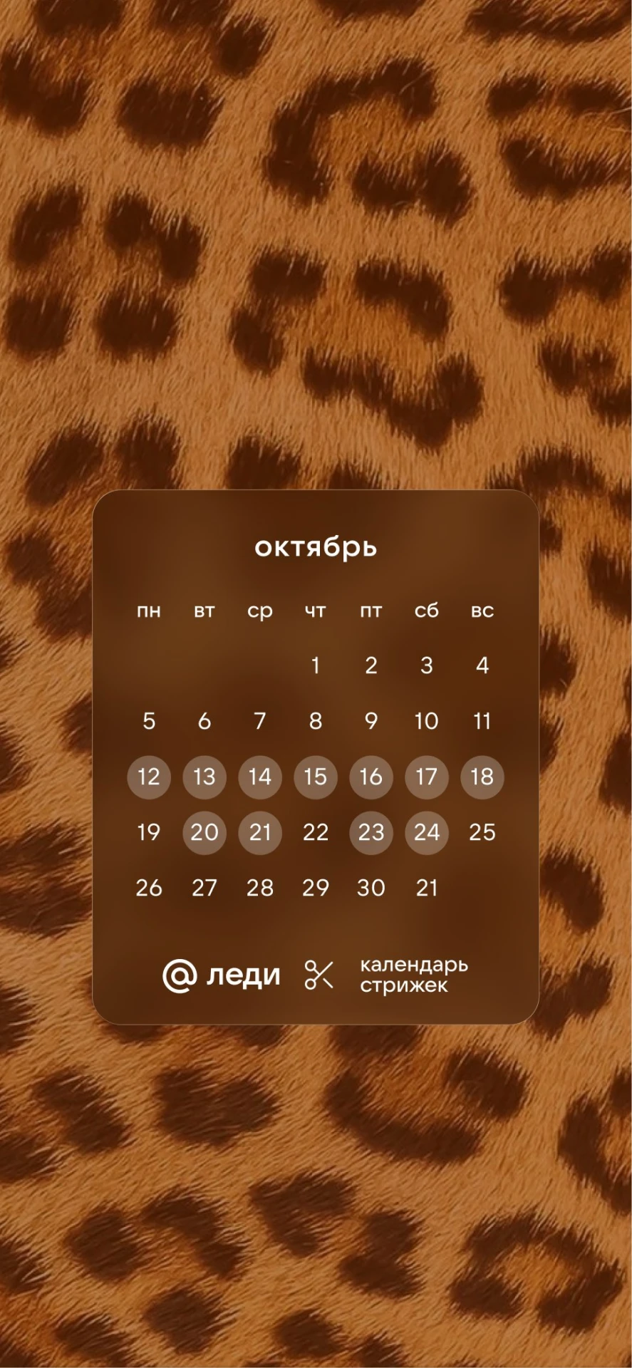 💇‍♀️ Календарь стрижек на октябрь