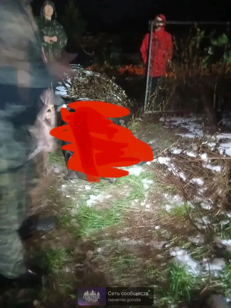 😱 В поселке Рудничный под Краснотурьинском ликвидировали медведя