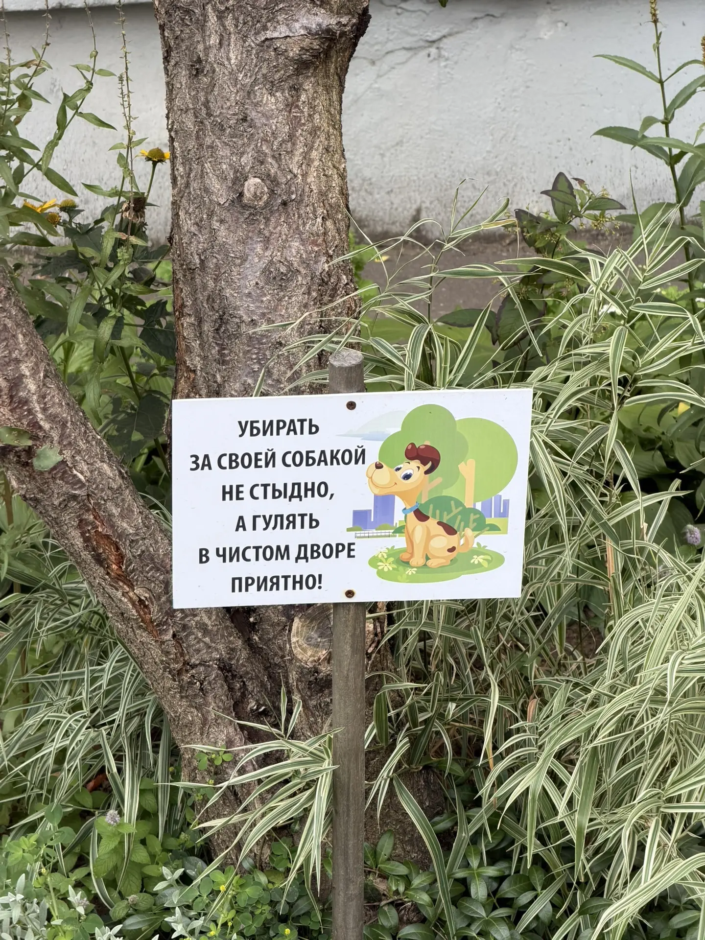 Соседи, это вообще помогает?