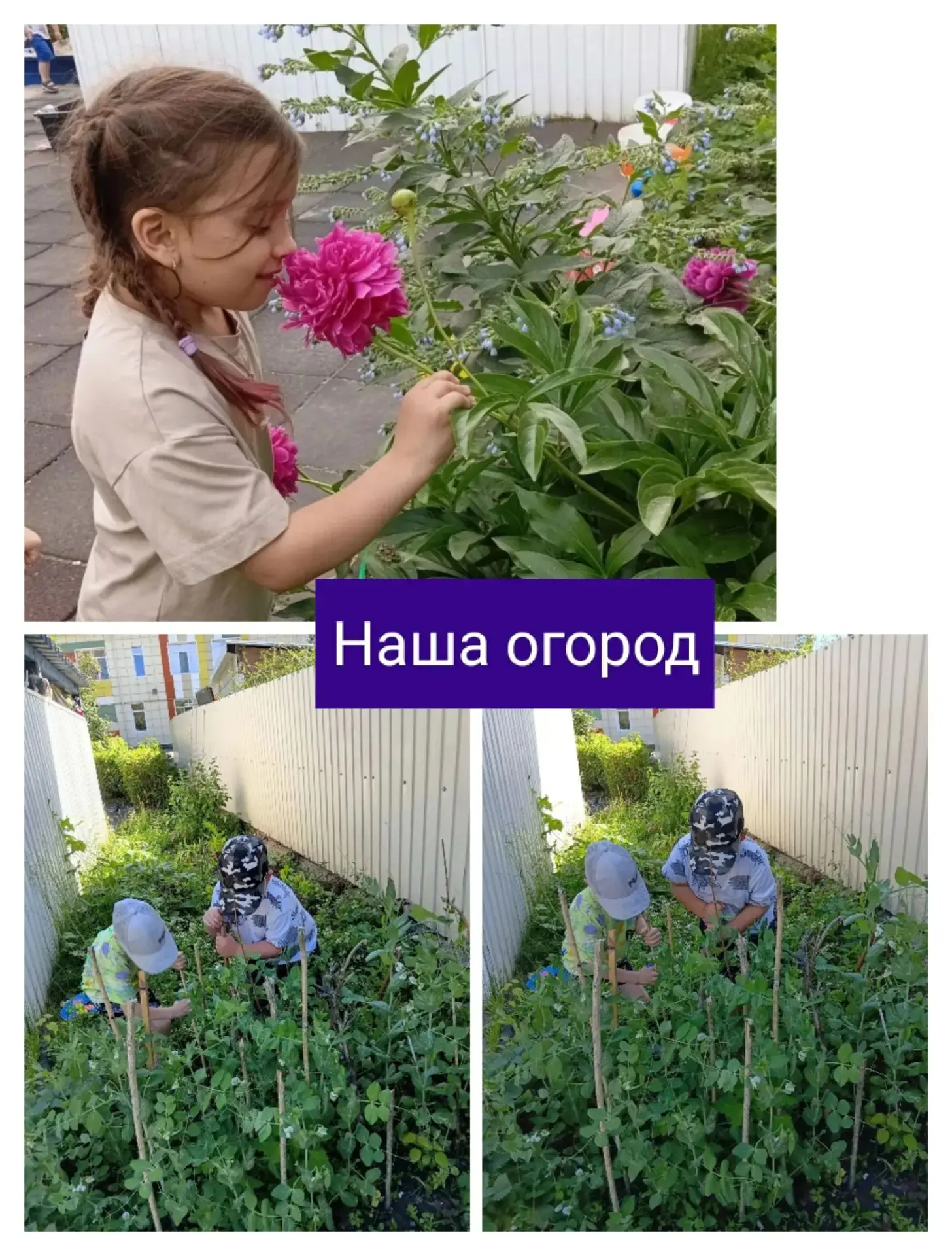 🥕Есть у нас огород! 🍓
🌞Ребята из группы "Солнышко" знают всё про свой огород! 
💧Старательно ухаж