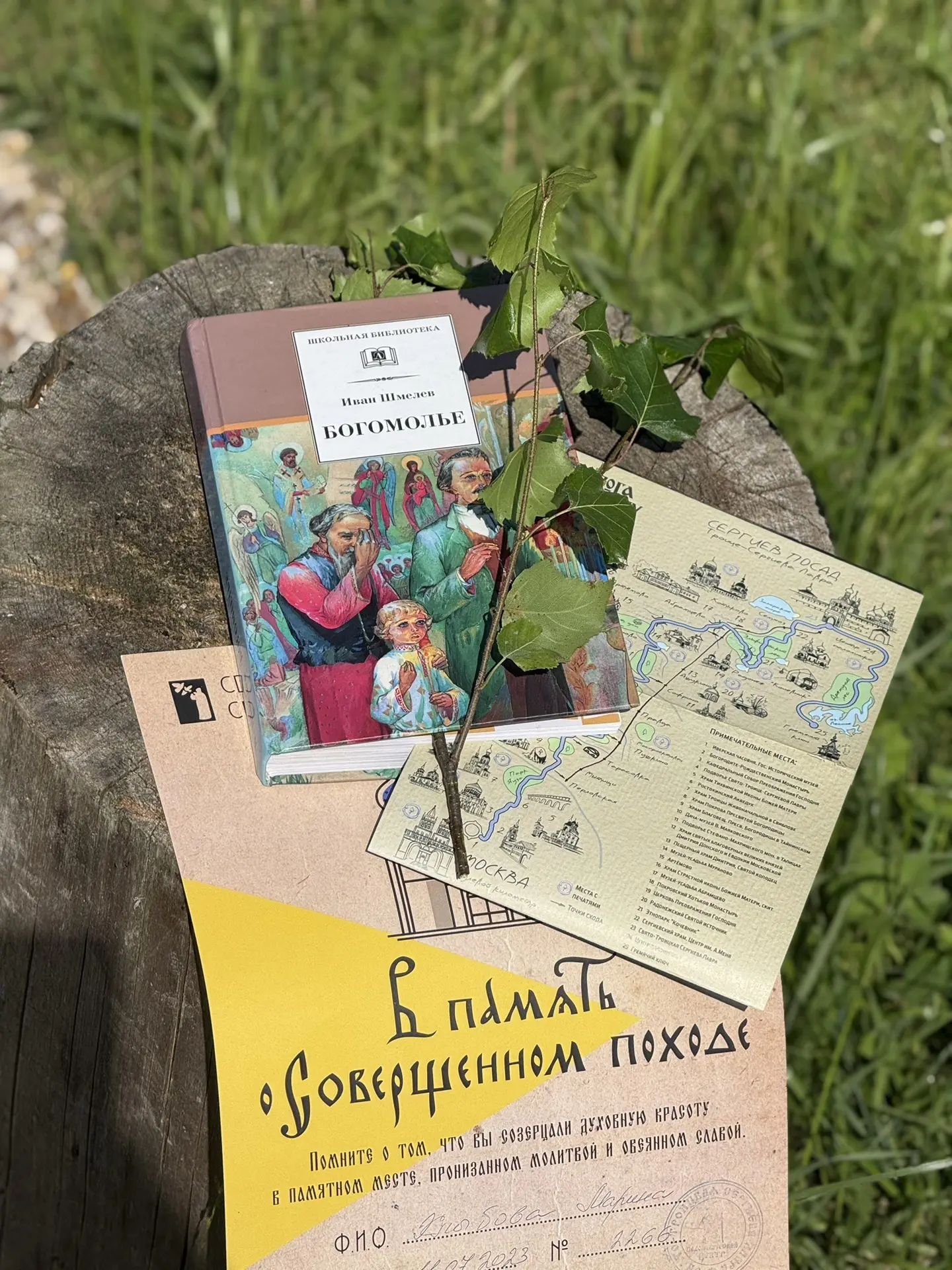 Можно ли пройти книгу пешком?