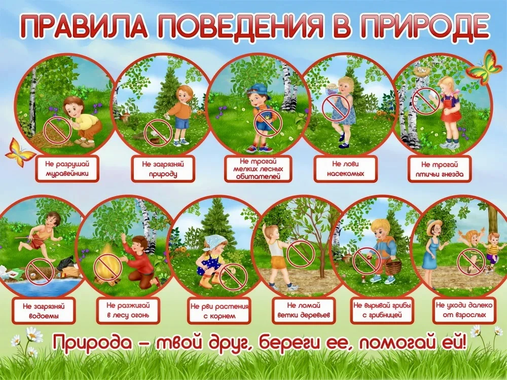 Безопасные каникулы: Летние прогулки и походы, правила безопасности на природе

😎 Лето — отличное в