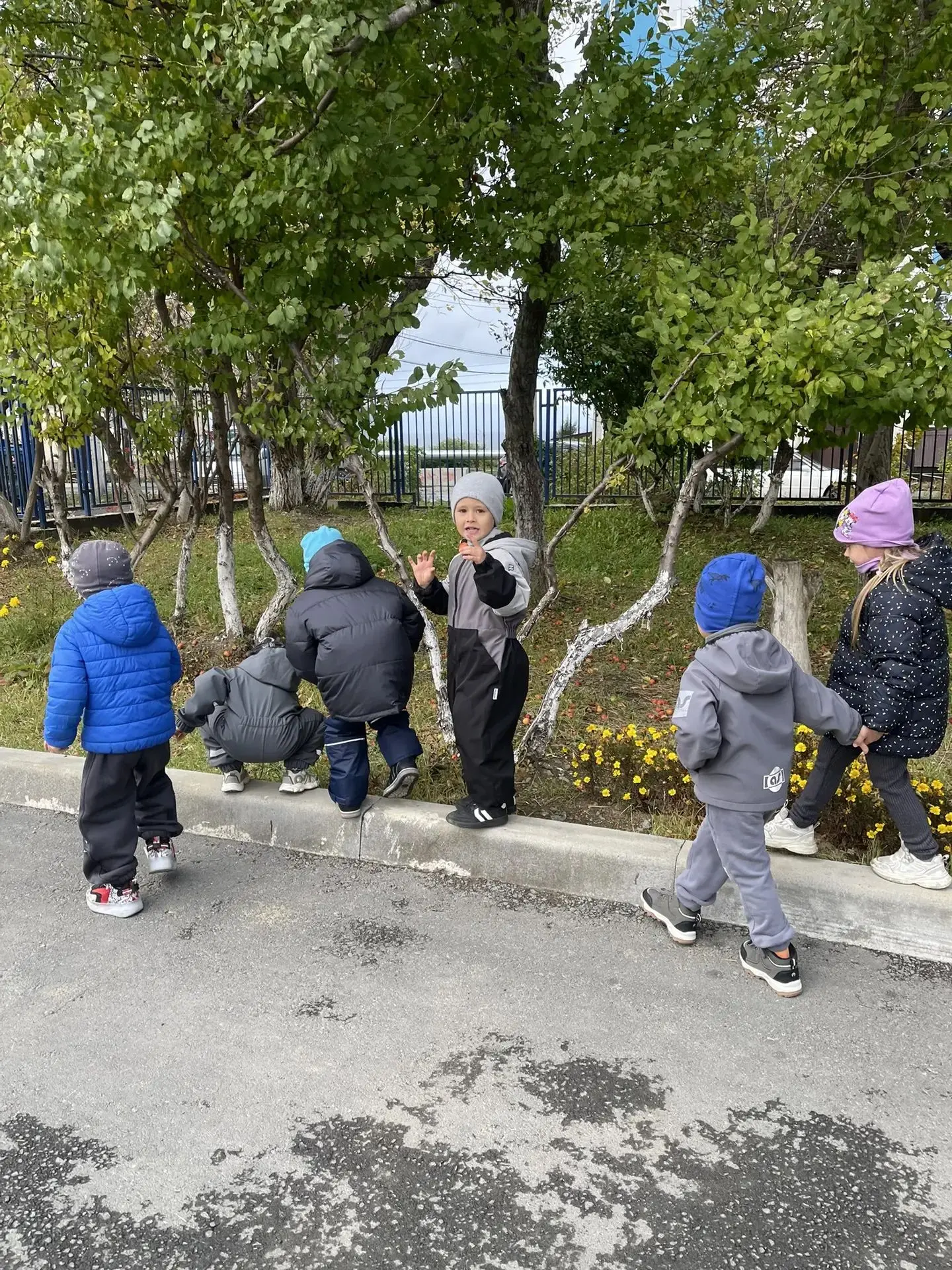 🍁 Осенние приключения группы «Цветики»! 🍎
