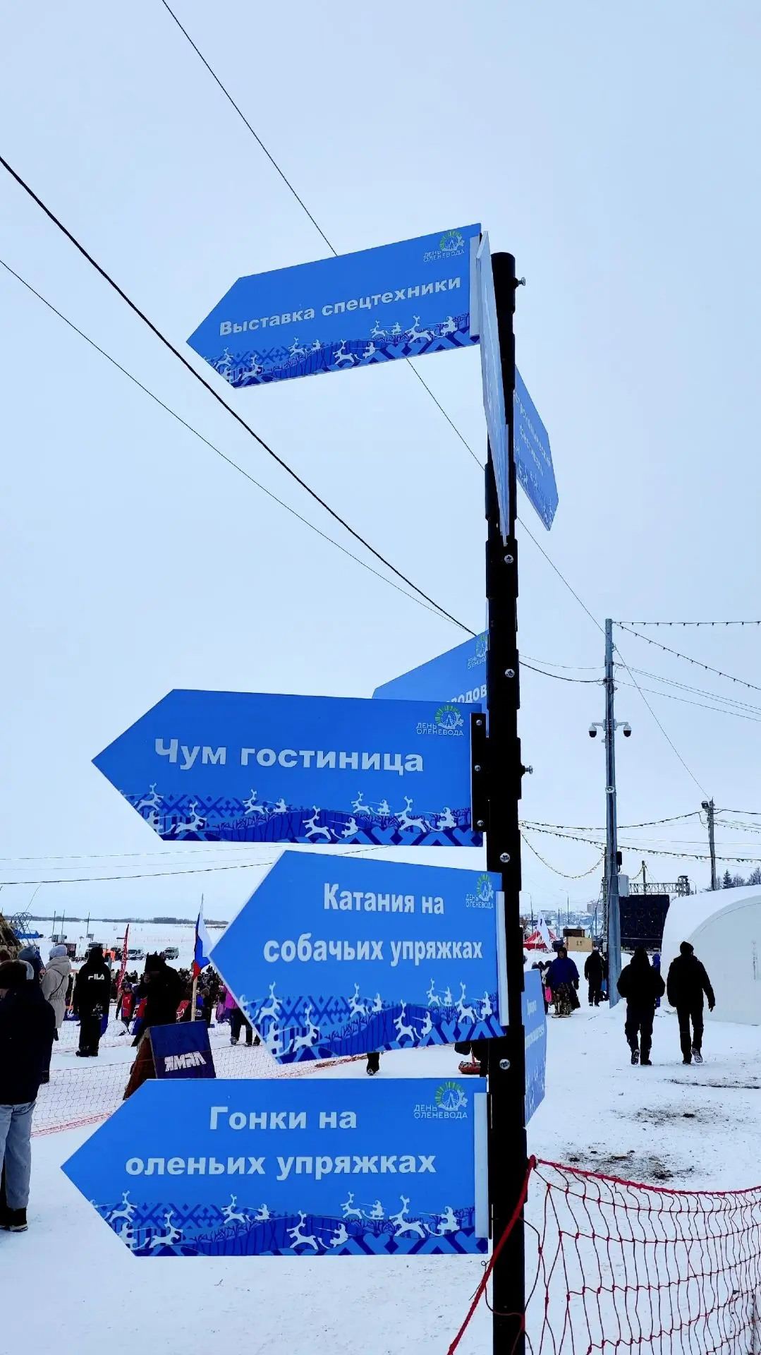Салехард. День оленевода в кадрах Александра Чибидина! 😍🔥