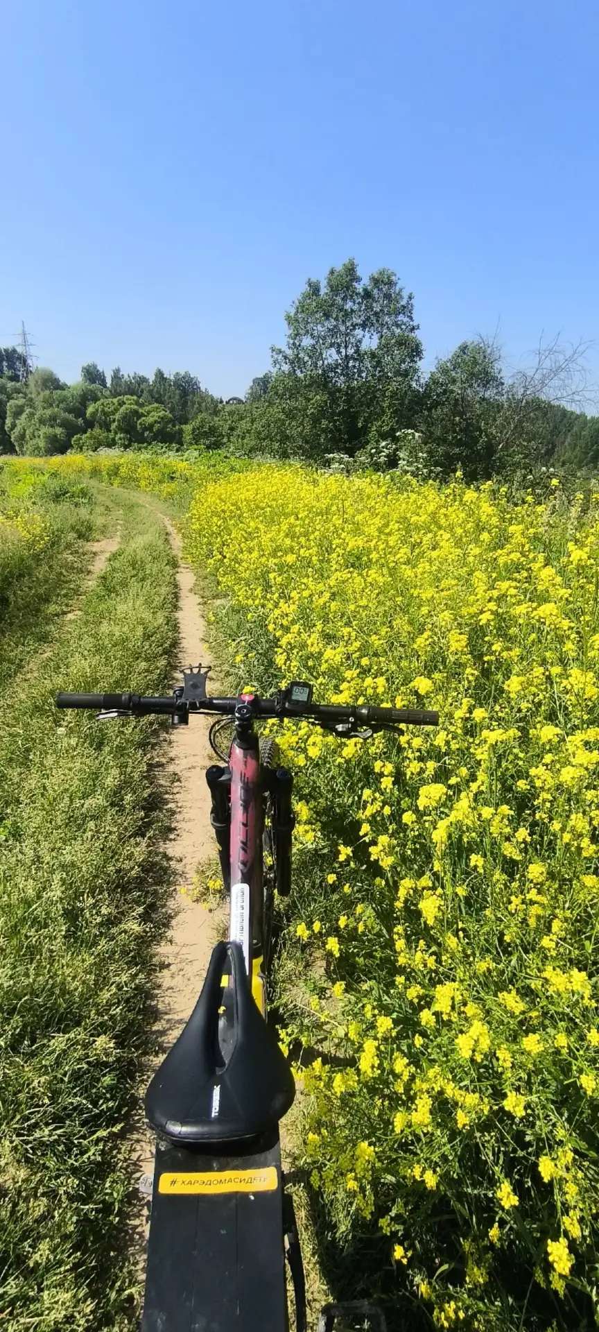 Всем настроения ☀️.) 
Хорошего дня..
