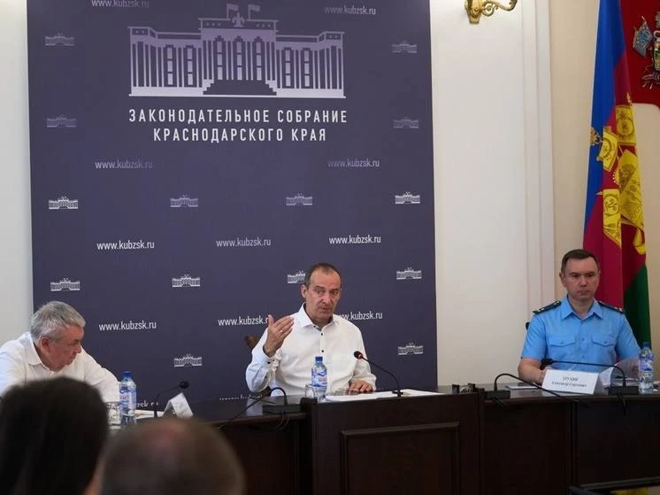 В Краснодаре готовят выделение пятого округа из-за рекордной нагрузки

В Законодательном Собрании Кр