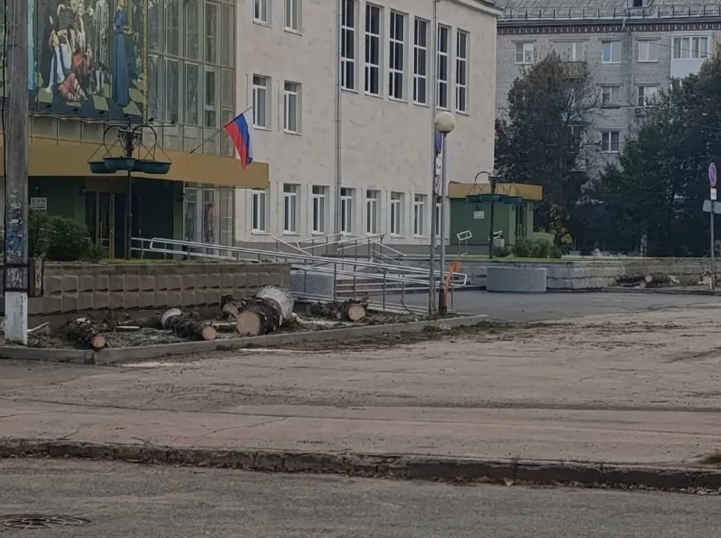 ‼️В Тольятти объяснили, зачем перед театром «Колесо» спилили все ели