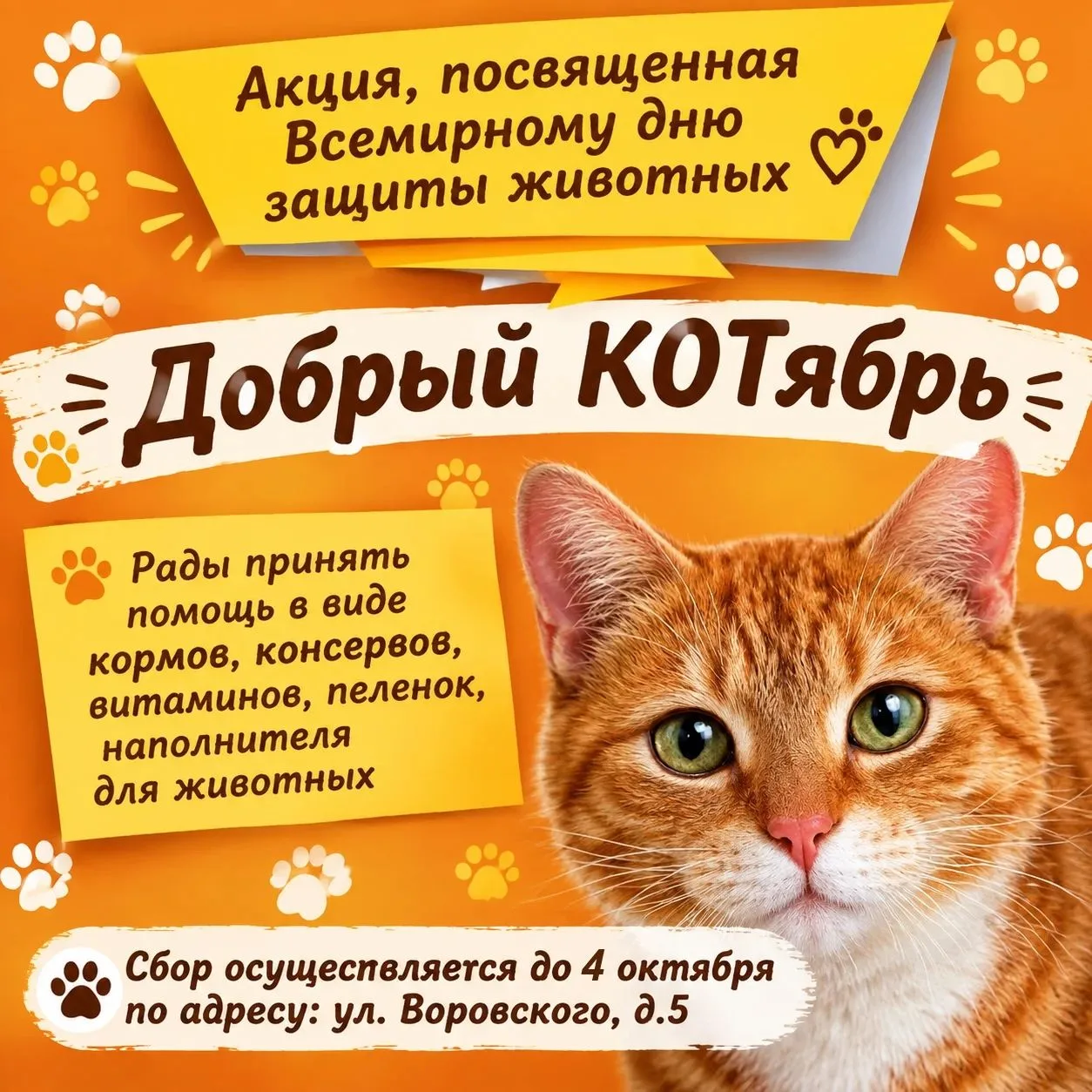 1 октября — День защиты животных. К этой дате Добро.Центр г. Касимов запускает акцию в ...