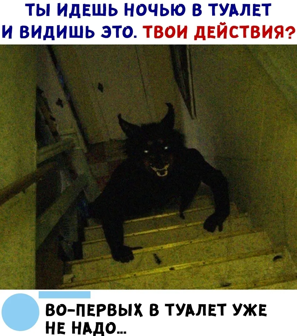 ____________________
Помощь со всеми видами работ

👉Заказать помощь в MAX
👉Заказать помощь в Teleg