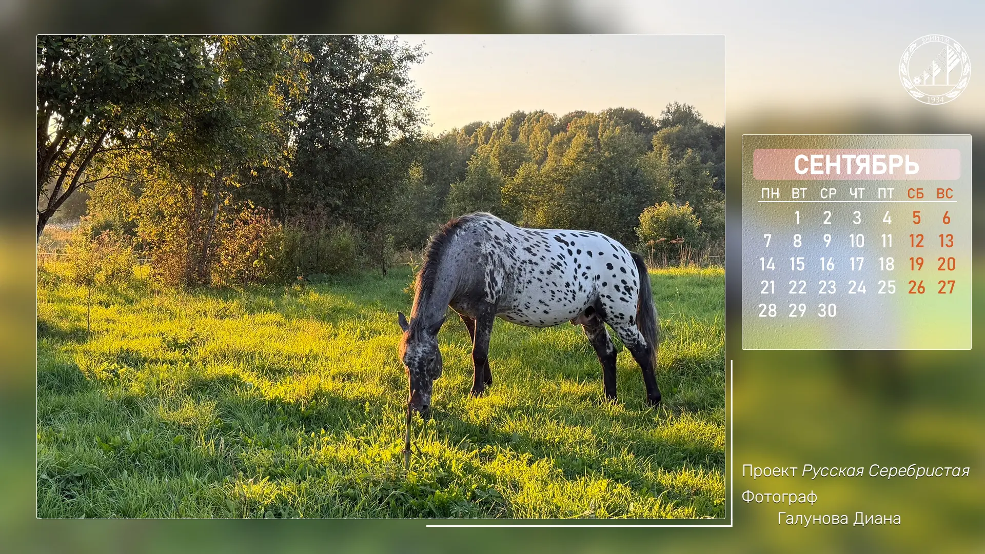 🍁 Мы любим начало осени не за яркие краски и щедрость урожая, а за возможность не спеш...