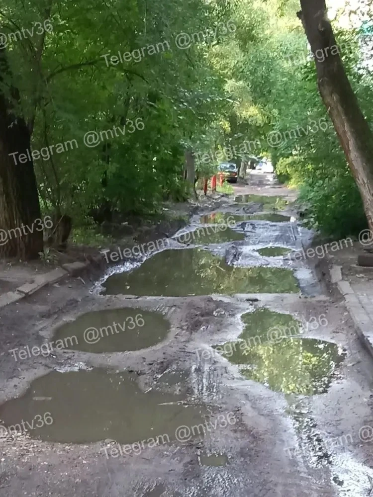 🤬 Ходим по дверям и поддонам после дождя 

Горожане, живущие на Урицкого, жалуются, что вынуждены п