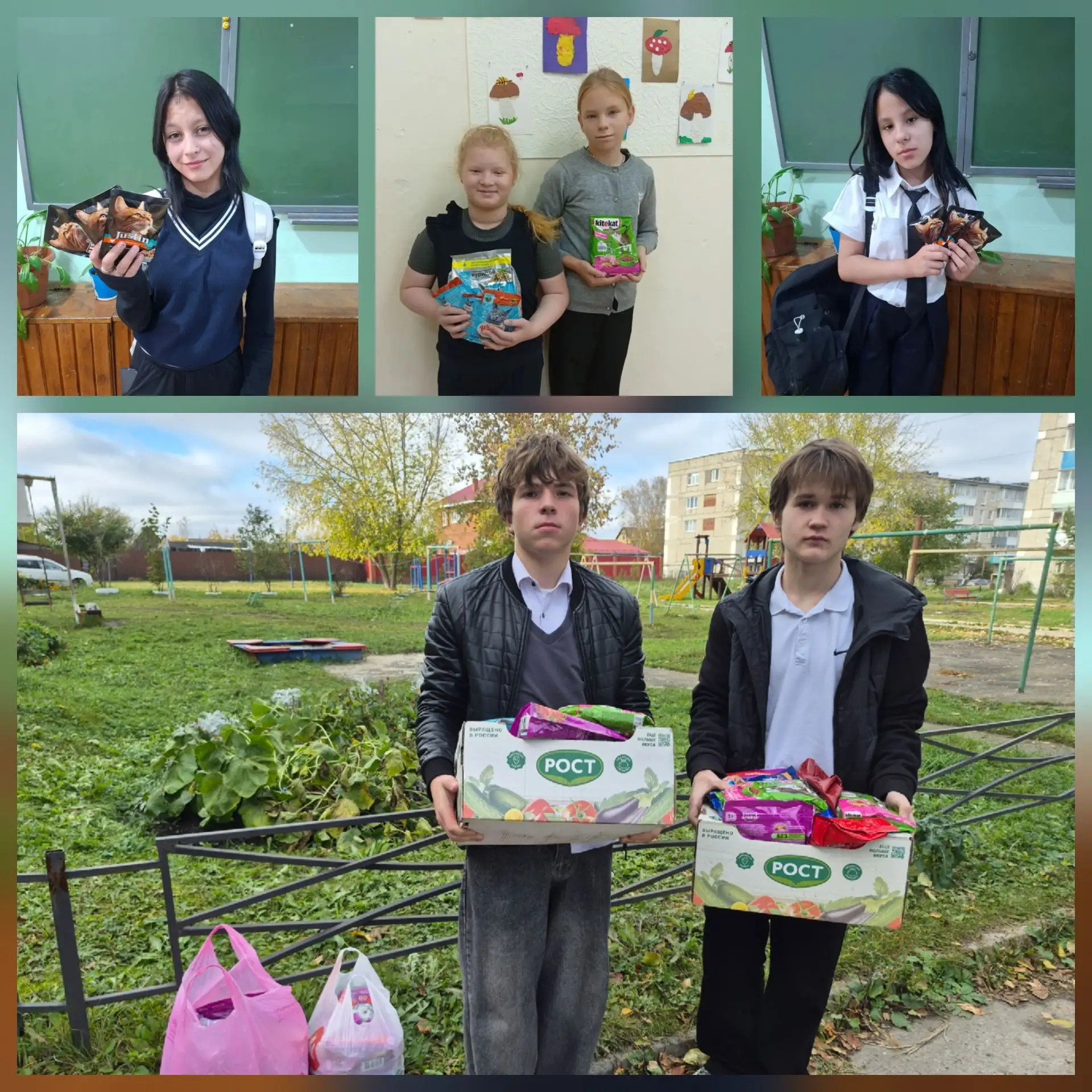 ❤️АКЦИЯ "Четыре с хвостиком"🐶