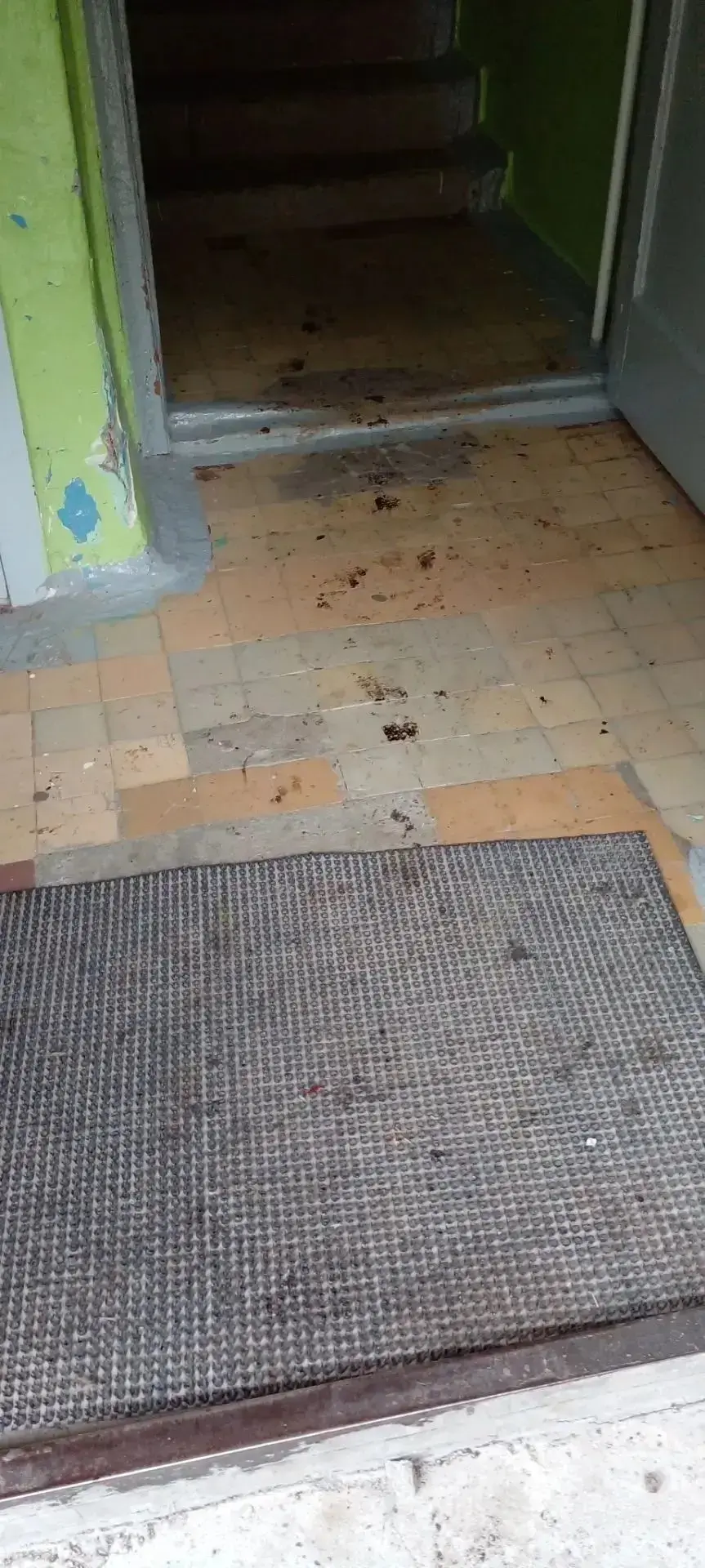‼️Жители дома по улице Садовая, 17 уже целый месяц портят обувь из-за незастывшего битума