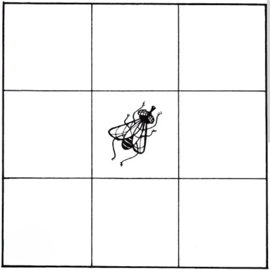 🧠Упражнение «Муха» (качаем концентрацию и пространственное мышление)