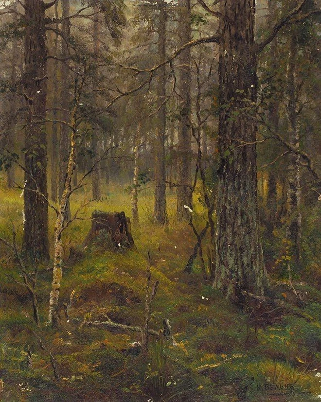 «Чаща»
