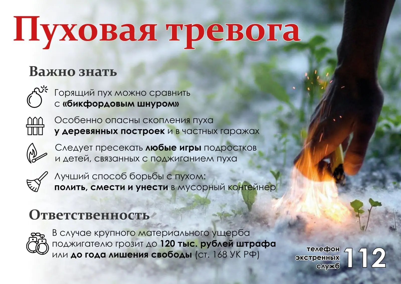 Не поджигайте тополиный пух!
Огонь может легко перекинуться на дома, машины и деревья.
МКУ «Управлен
