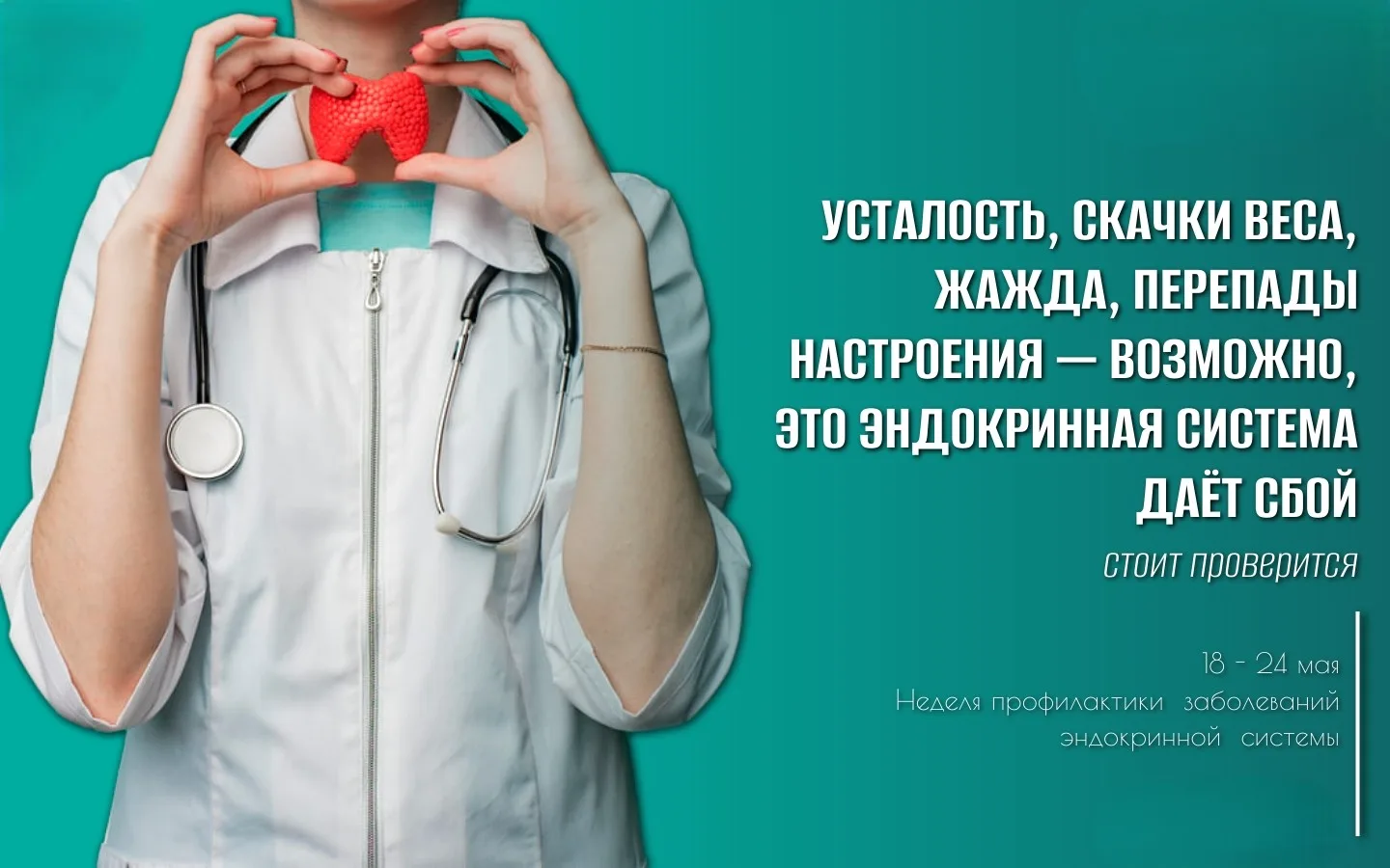 Щитовидная железа, поджелудочная, надпочечники. Знаете, где они находятся? А зачем нужны?