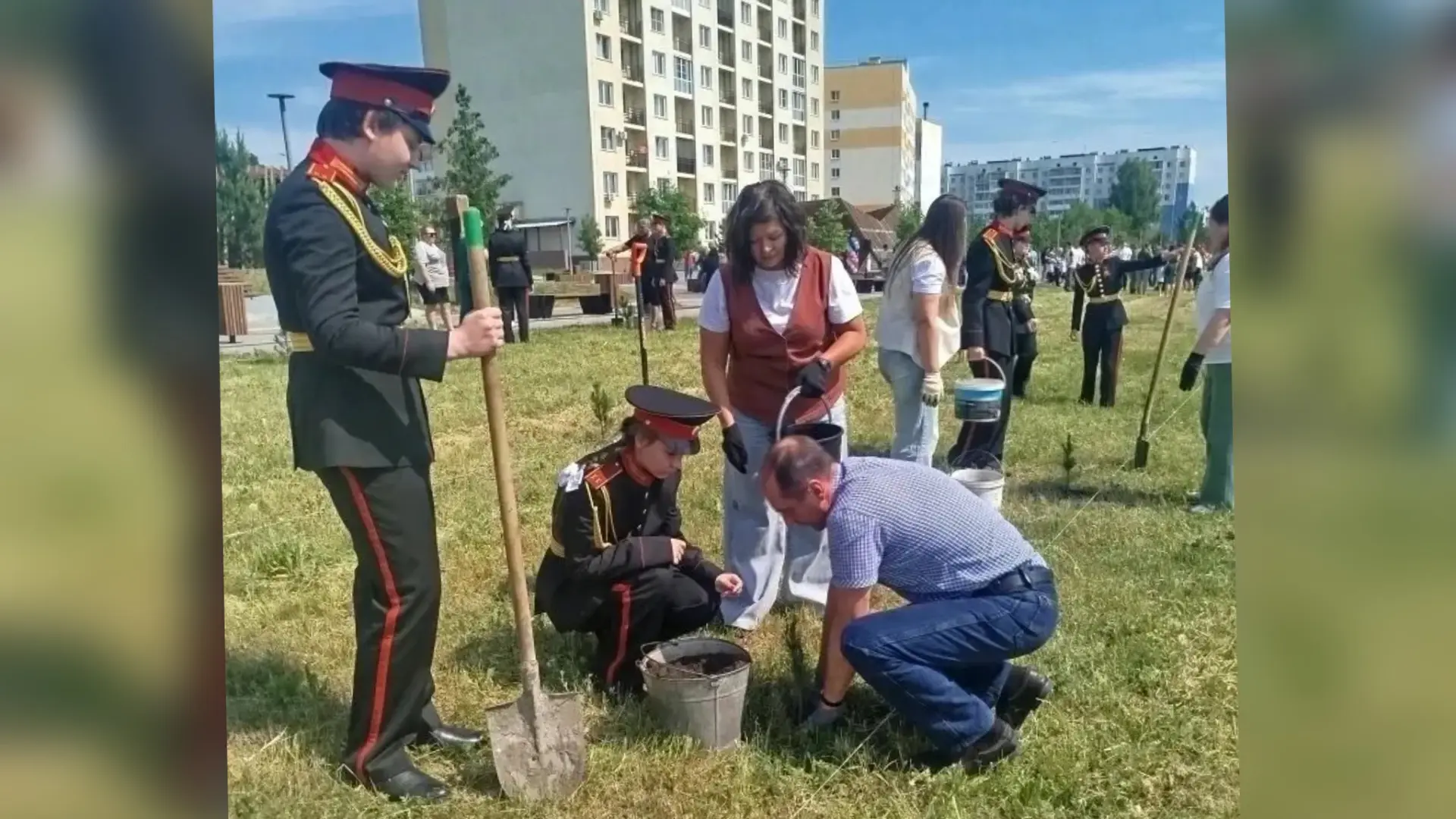 В Белове при участии ветерана регионального следственного управления в рамках акции «Сад памяти» выс