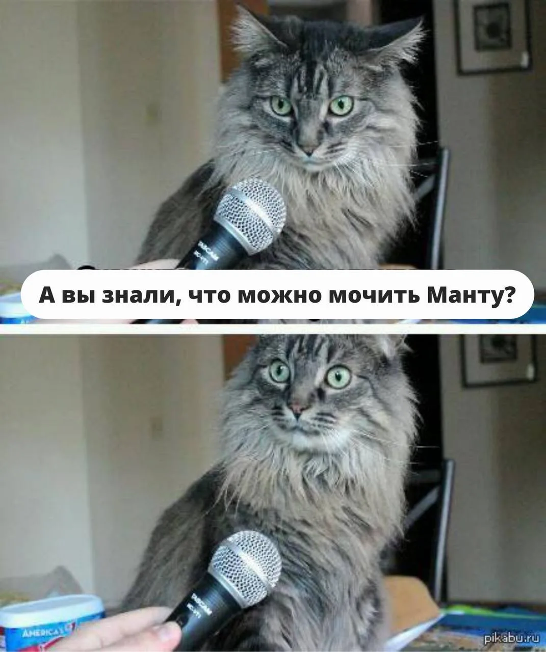 Мочить Манту можно!