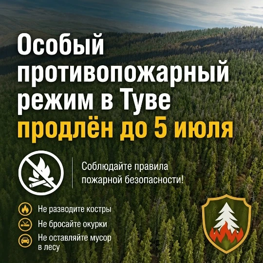 Постановлением Правительства Тувы особый противопожарный режим на территории республики продлён до 5