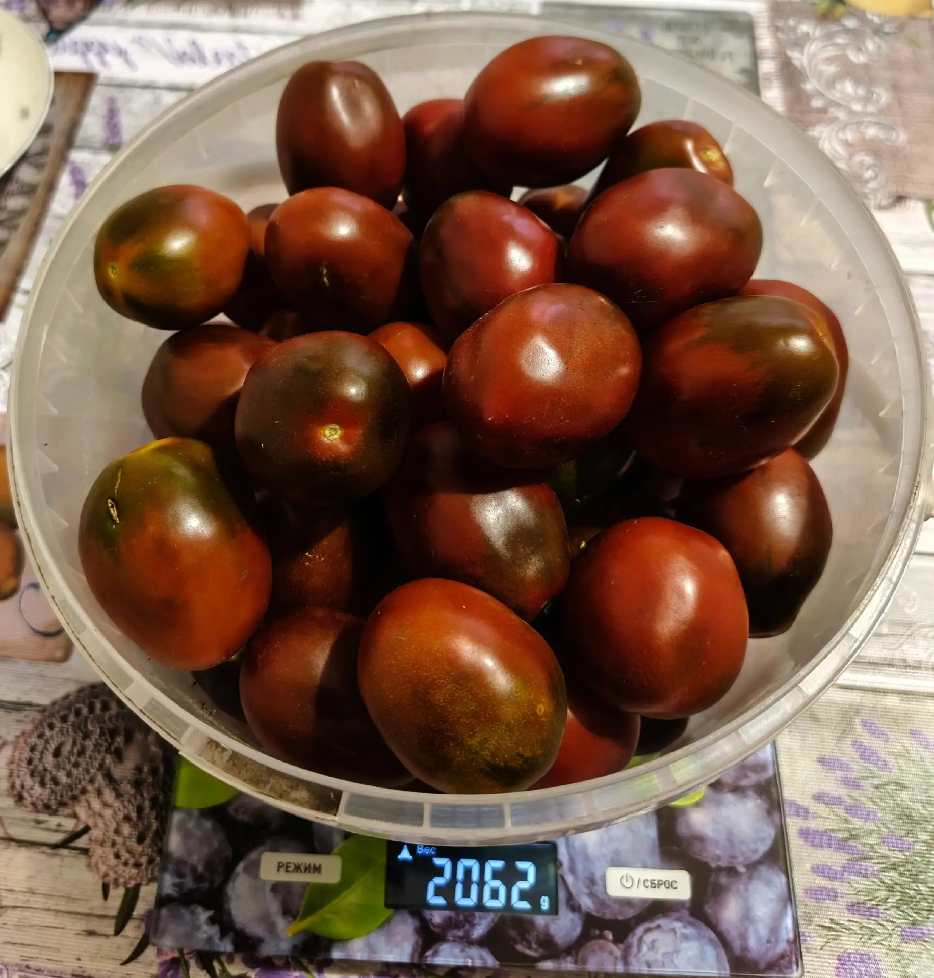 Томатики "Мавр" , одинакового размера, сладенькие😋, удобно закрывать в литровые баночк...