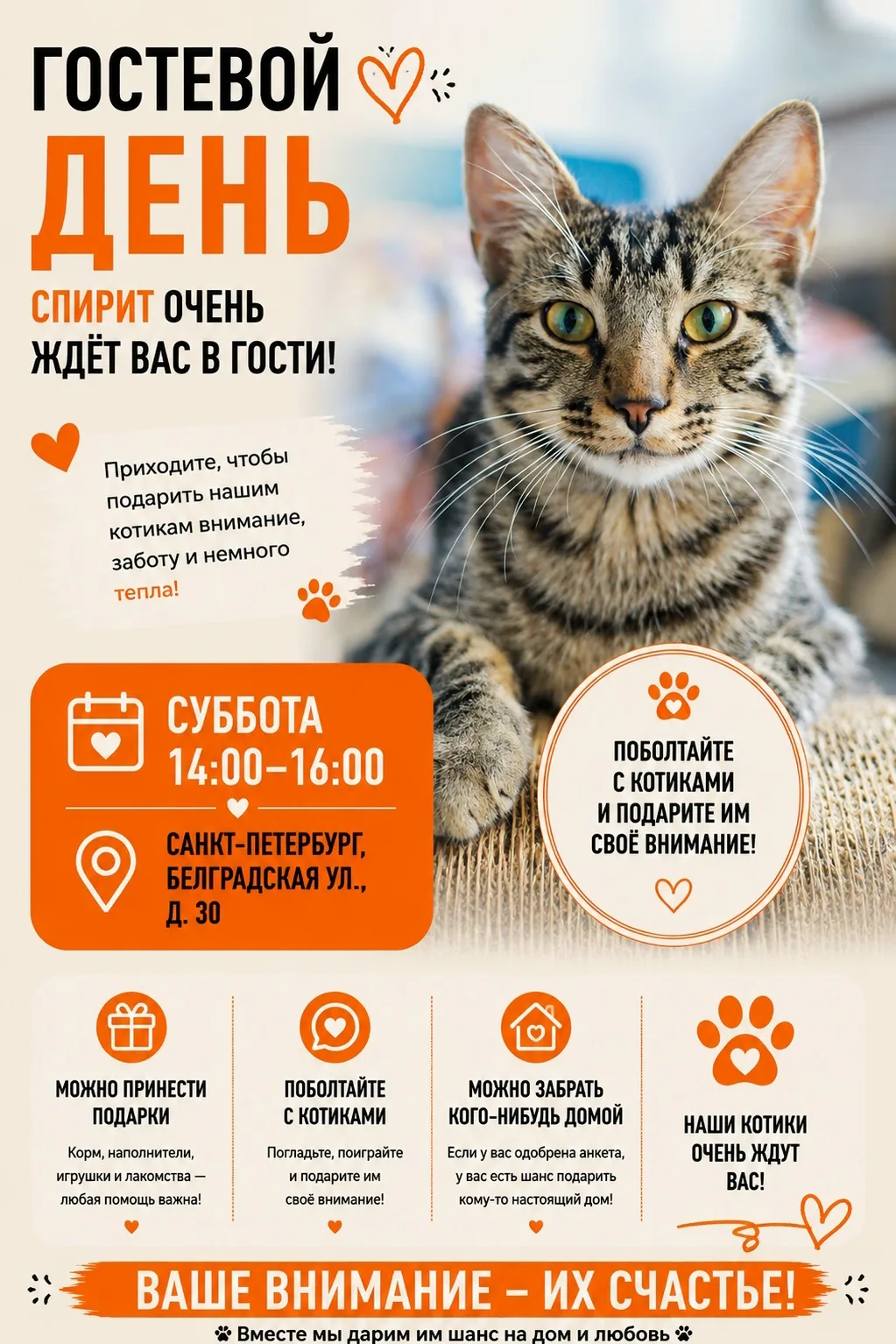 ✨Гостевой день✨